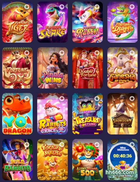 Atendimento Personalizado em Português - hh666.com